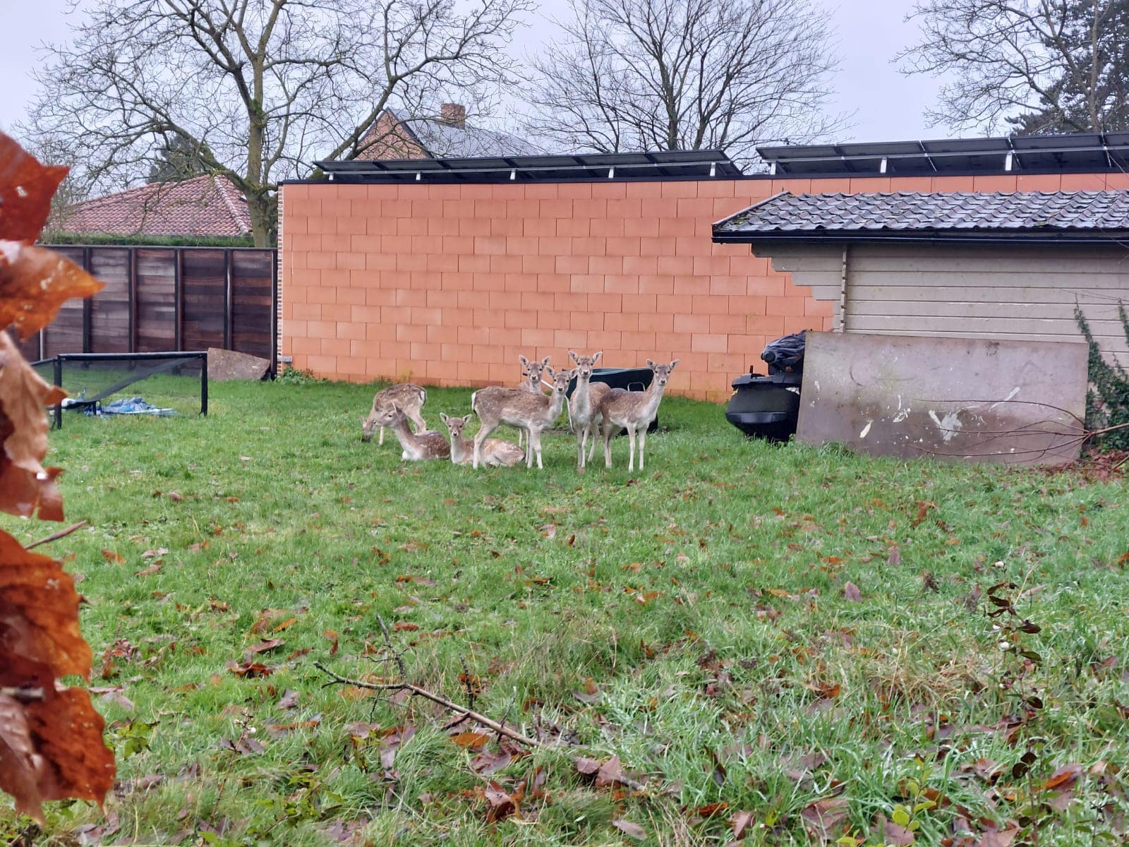 Natuurhulpcentrum VZW